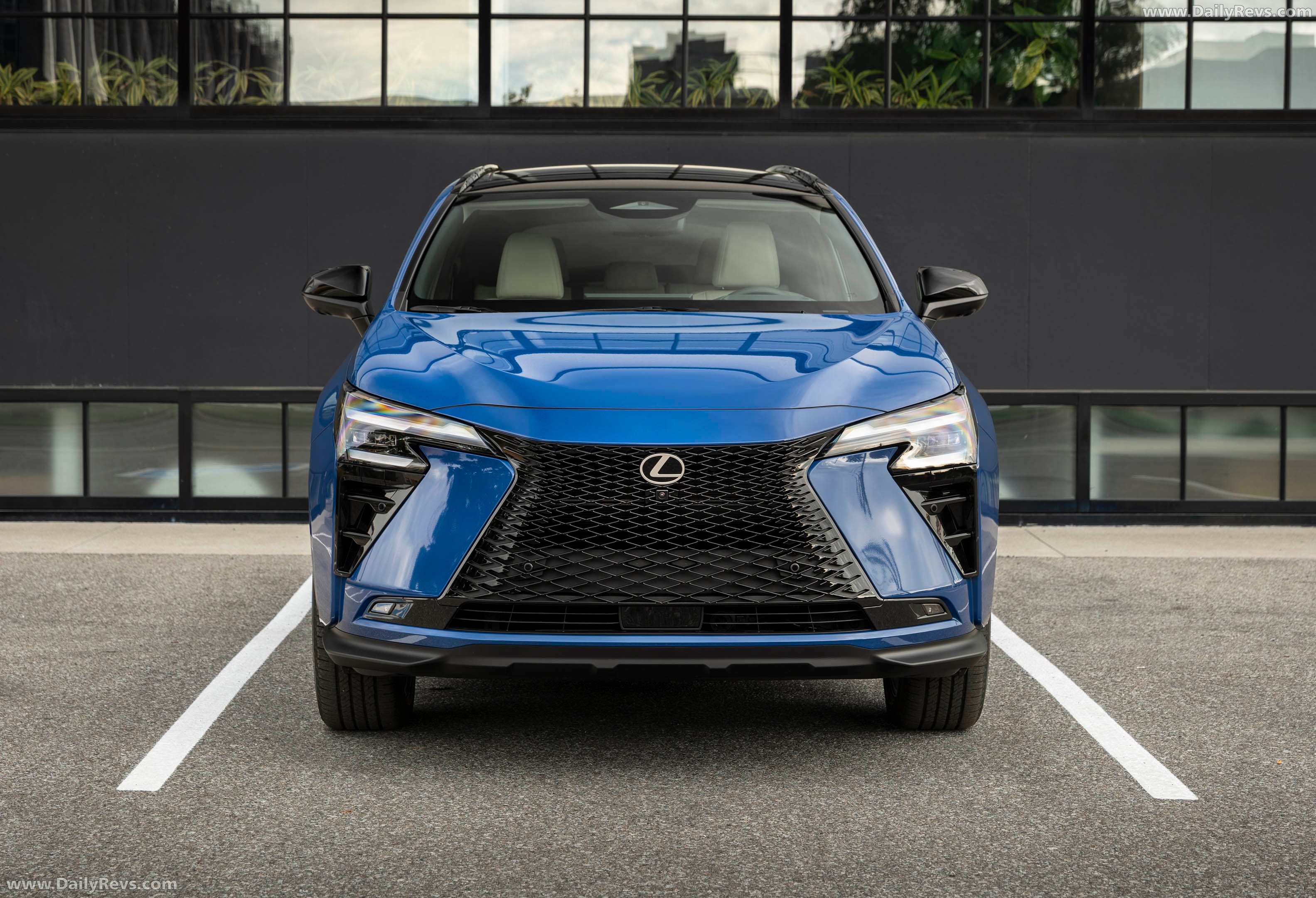 Image of NX 350h HEV